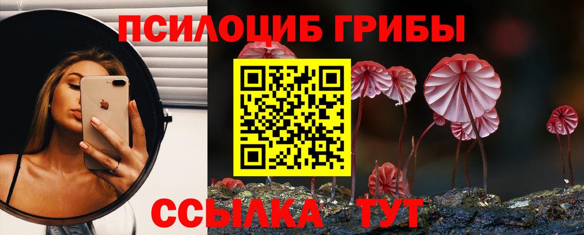 Псилоцибиновые грибы Psilocybine cubensis Мелеуз